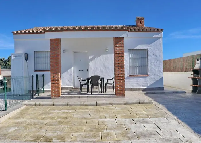 Lobita Conil De La Frontera